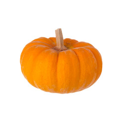 Orange pumpkin isolated on white background