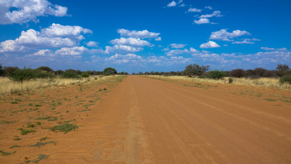 Fototapeta na wymiar Rote Sandpiste in Namibia