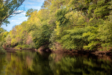 The river with a quiet current