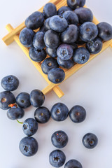Blueberry