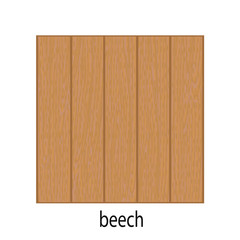 beech, beech wood, Board