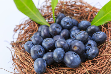 Blueberry