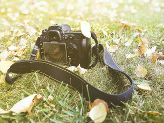 A camera on the grass, autumn, yellow leaves,