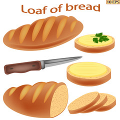 Loaf of bread. Loaf sliced for sandwiches. Cheese sandwich. Bread with butter. Vector illustration for recipe, menu restaurant, kitchen interior design.