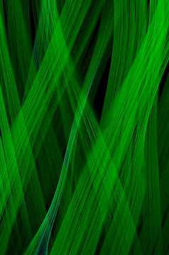 Abstract Dark Green Texture On Black