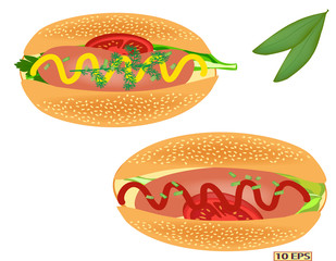 Hot dog with sausage. Delicious hot dog. Tasty hot dog with sausage, mustard and ketchup. Fast food. Vector illustration.