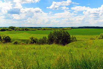 Country in Russia in the summer