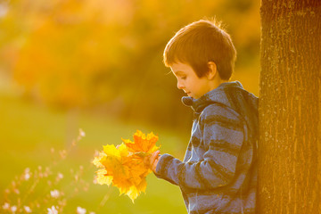 Beautiful autumn portrait of young preschool boy in the park