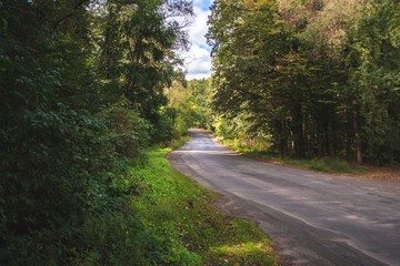 Obraz premium Autumn landscape. Forest road on a sunny day.