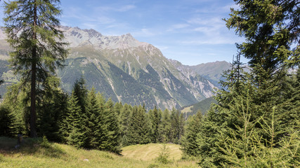 View of beautiful landscape in the Alps