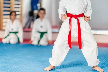 Photo sur Plexiglas Arts martiaux Instructeur de taekwondo travaillant avec un garçon
