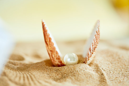 shell with a pearl