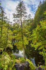 Rockwood conservation area