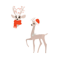 vector flat cartoon cute female christmas reindeer in red scarf head, and deer in christmas hat full lenght set. Winter holiday animal simbol. Isolated illustration on a white background.