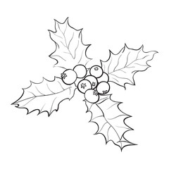 Naklejka premium Mistletoe black and white branch with leaves and berries, holly berry Christmas decoration element, sketch vector illustration on white background.