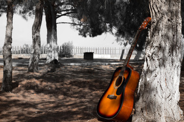guitar sitting on a tree selective color with copy space and a black and white park on the background