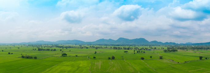 Rice Field panorama view in Kanchanaburi thailand