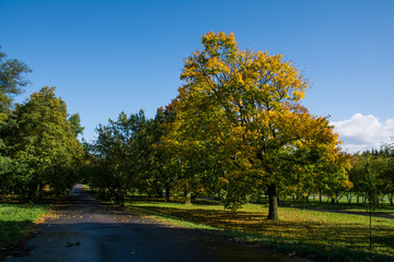 Naklejka premium Jesień