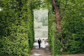 Wedding couple are walking in the green park
