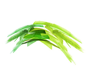 Watercolor splash of green paint, blot, stain, stroke. Decorative abstract art drawing for design. Isolated on white background. Decorative element for invitation, greeting card, logo.