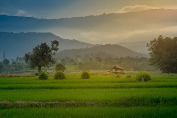 hut on agricultural fields in rural Thailand