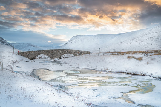 Winter landscape