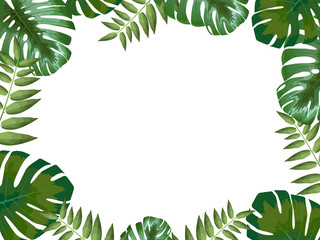 Tropical background with leaves with space for your design, monstera flower, vector illustration © kovalto1