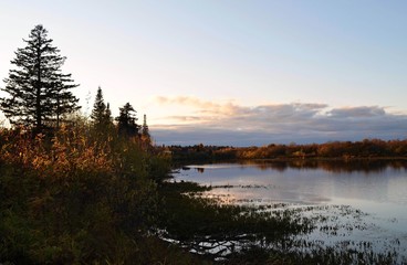 Fototapeta na wymiar Осенняя природа Сибири в октябре, озеро,река,деревья, небо, облака