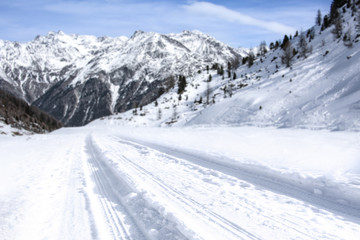 Fototapeta na wymiar winter road 