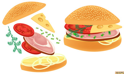 Cheeseburger. Bun with smoked ham and cheese. Hamburger. Sandwich with tomato and smoked meat. Sandwich with butter, herbs, tomato and smoked pork. Vector illustration.