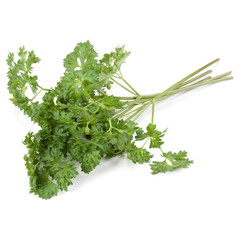 parsley leaves bunch isolated on white background cutout