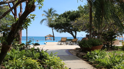 Fototapeta premium Relax. Caribbean Sea. Puerto Rico