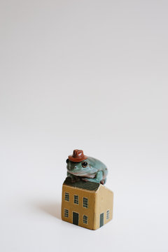 Tiny tree frog sitting on model house against white background
