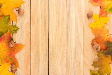 Naklejka na ściany i meble Colored maple leaves and acorns on the light wooden boards