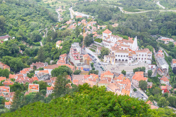 Fototapeta na wymiar Palace of Sintra, Sintra City View and vegetation