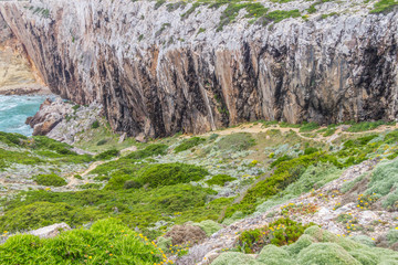 Trail, Vegetation, cliffs and ocean in Cabo de Sao Vicente
