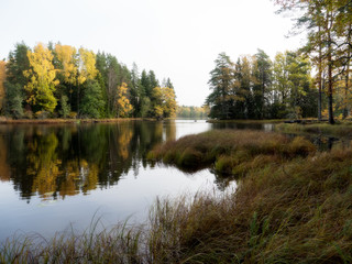 Fototapeta premium Swedish natural salmon area in autumn. Farnebofjarden national park.