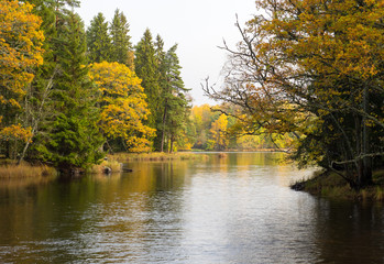 Fototapeta na wymiar Swedish natural salmon area in autumn. Farnebofjarden national park.