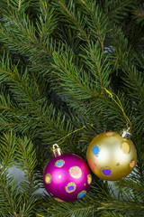 Christmas decorations on spruce branches.