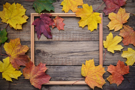 Autumn picture of yellow leaves and wooden frame