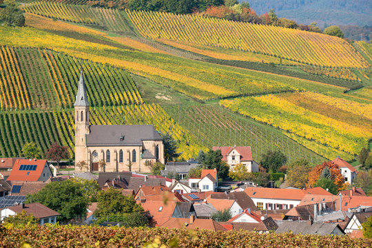 Goldener Oktober in Birkweiler, Deutsche Weinstra&szlig;e