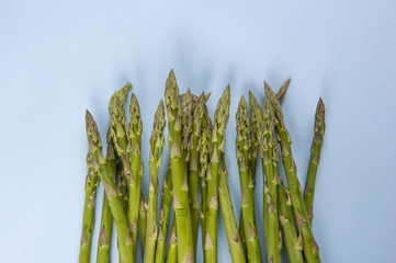 Asparagus isolated on blue background.