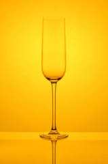 champaigner glass yellow