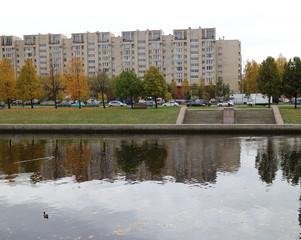 autumn river in the city with reflections of houses with leaves and ducks