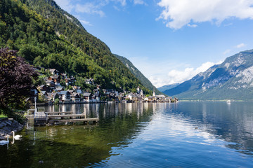 Hallstatt on Lake with Swans