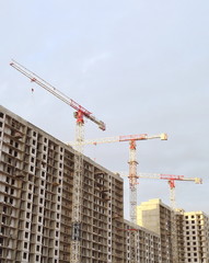 Building construction, tower cranes, low angle