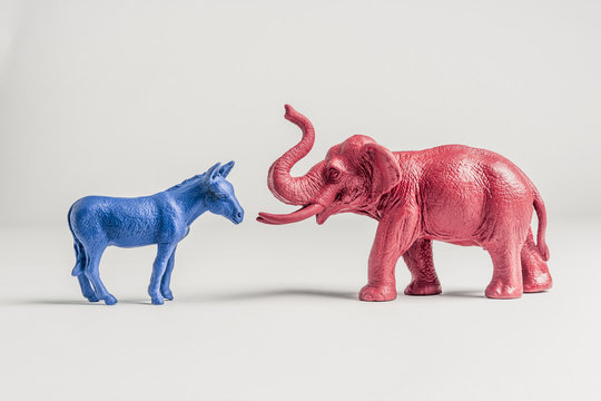 United States Democratic Donkey and Elephant Meet Face to Face