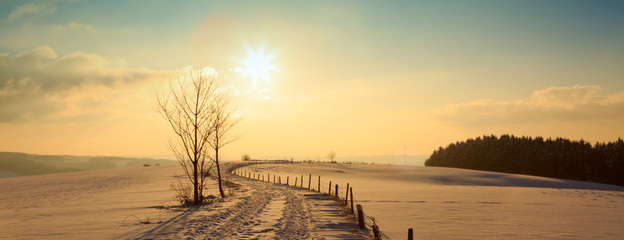 Winter sunset landscape with tree and road.