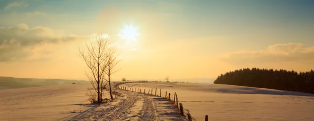Photo sur Plexiglas Couleur miel Paysage de coucher de soleil d& 39 hiver avec arbre et route.