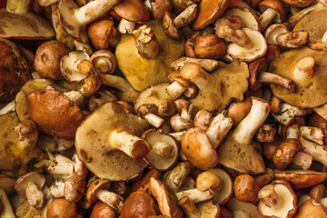Healthy food background of fresh whole mushrooms